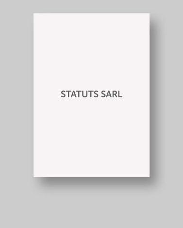 STATUTS SARL