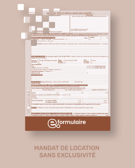 MANDAT SIMPLE DE LOCATION - En ligne