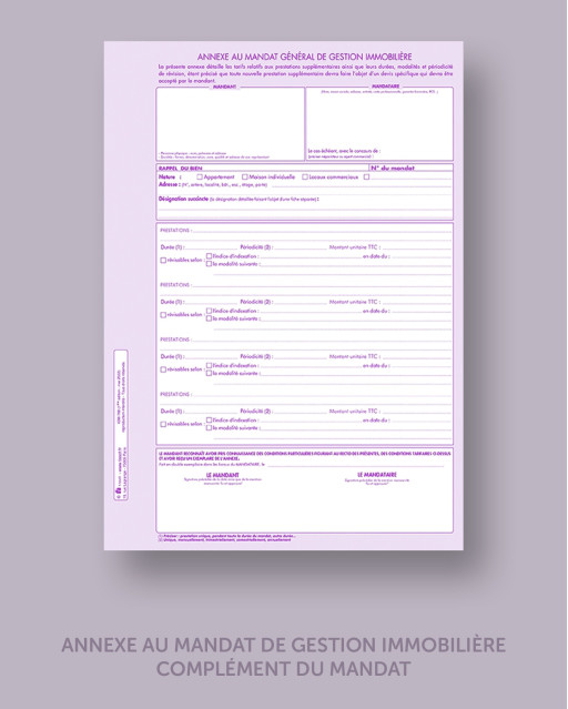 ANNEXE AU MANDAT DE GESTION IMMOBILIÈRE